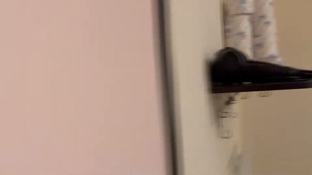 #1 Еду в ПИТЕР на майские праздники Наш отель, Прогулка по городу, Где поесть смотреть онлайн