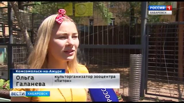Лама родилась в "Питоне" смотреть онлайн