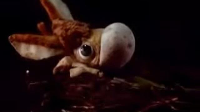 про Маленького Ослика смотреть онлайн