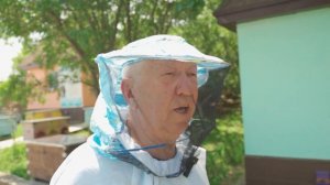 Развитие пчел на Пасеке Савина! ч.2