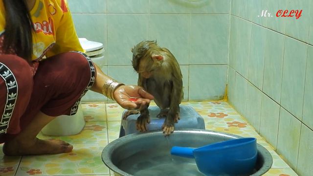 Mom Taking Bath For Miss Luna On Chair смотреть онлайн