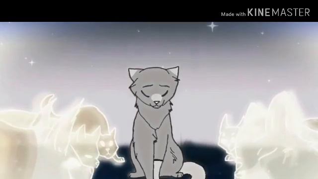 Температура , Я такая дура~😌♥✨