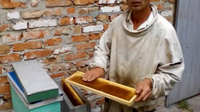 Нуклеус на 145 рамку.