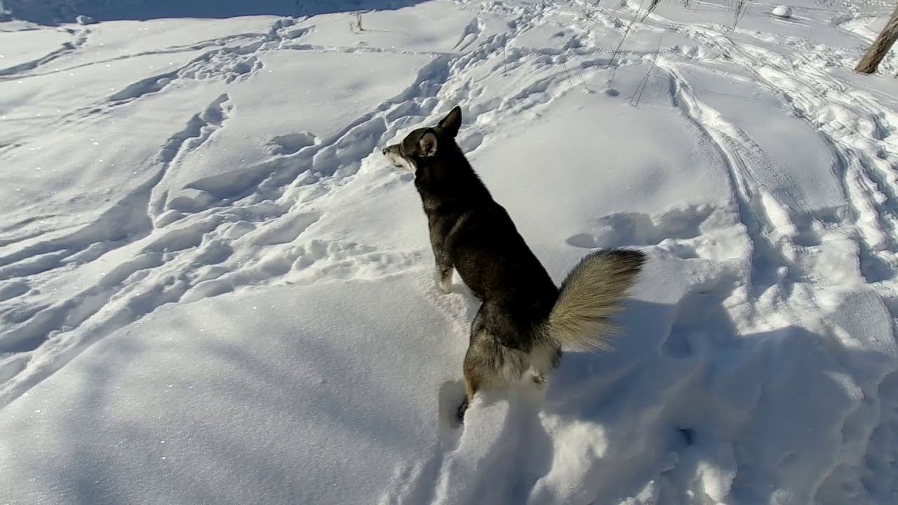 Обзор экшн камеры. Тест фото и видео. смотреть онлайн