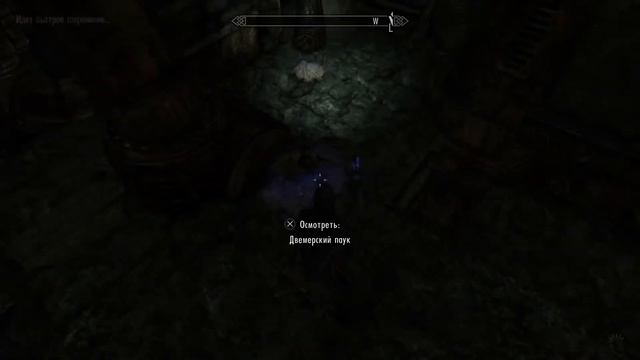 The Elder Scrolls : Skyrim PS5 Stream No Comments смотреть онлайн