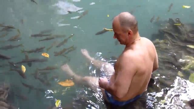 Водопады Эраван в Тайланде смотреть онлайн