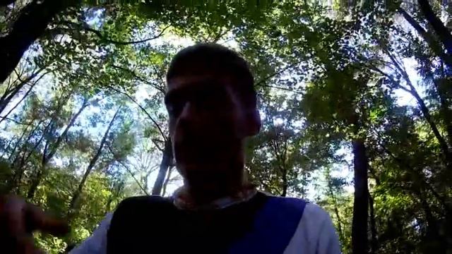 Где взять караги и мох для палюдариума. смотреть онлайн