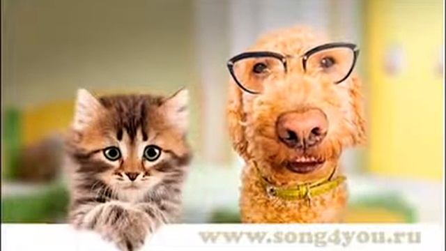 Поздравление с Днем Рождения ! смотреть онлайн