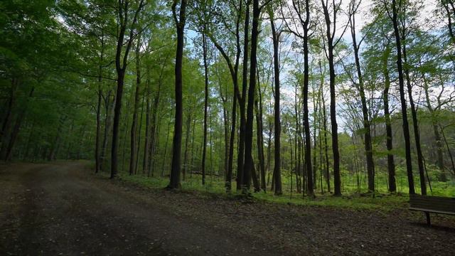 Morgan Arboretum смотреть онлайн