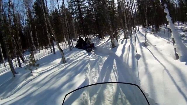В зимнем лесу на BRP 550f SWT. Ч.1