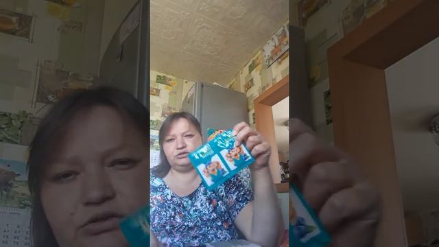 Закупки товаров в магазине "Магнит ". смотреть онлайн
