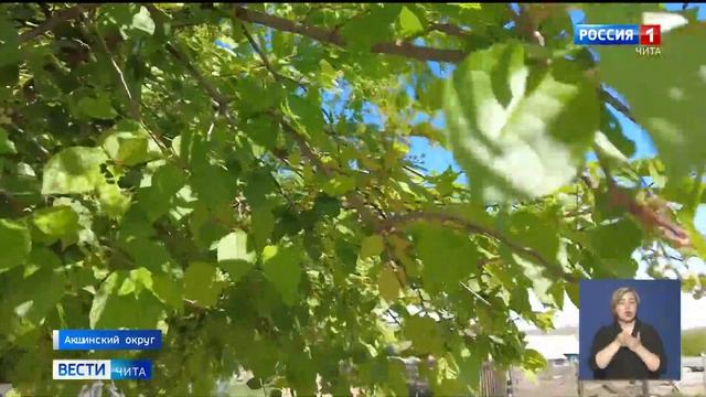 Ветхие школы, плохие дороги: ряд проблем озвучили жители сёл Акшинского округа Андрею Гурулеву смотреть онлайн