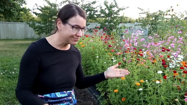 Cut Flower Garden For Beginners - From Seed To Bouquet