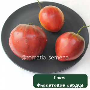 Гном фиолетовое сердце