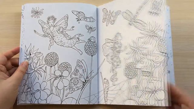 РАСКРАСКА | Сказочные Феи | Быстрый обзор смотреть онлайн