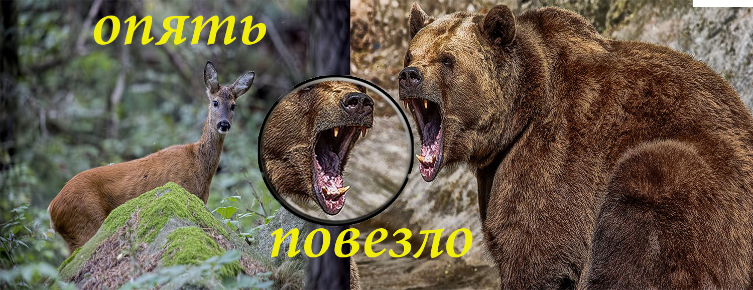 Повезло ещё раз! (рассказ туриста) смотреть онлайн