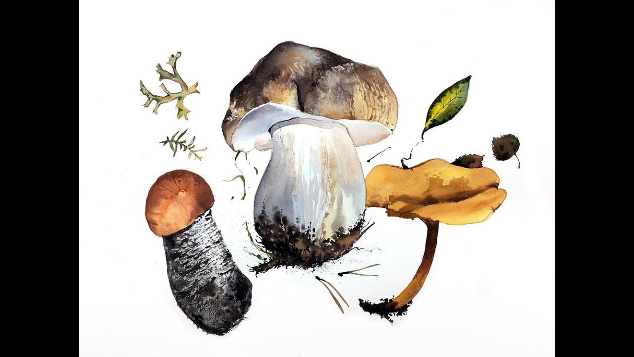 Мастер-класс по скетчингу «Грибное семейство» | Как нарисовать гриб поэтапно смотреть онлайн