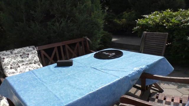 ПОДАРОК для РЭЯ! Красавец Кобель Немецкой овчарки 5 лет. Одесса. смотреть онлайн