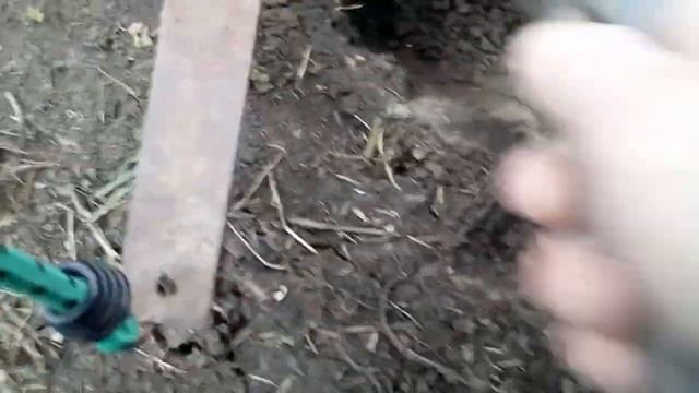 Охота на крота 18+, ловим вредителей. смотреть онлайн