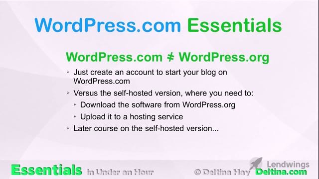 Быстрое создание сайтов на WordPress. Автор Deltina Hay смотреть онлайн