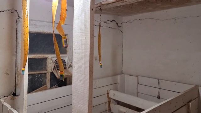 Чем вызвать опорос СВИНОМАТКЕ? смотреть онлайн
