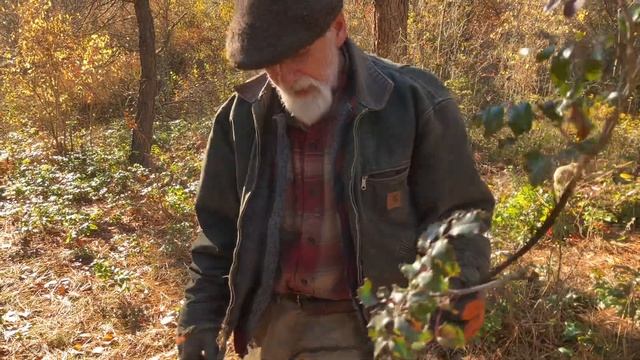 Harvesting Oregon-Grape Root (Mahonia aquifolium) with Michael Pilarski "Skeeter" смотреть онлайн