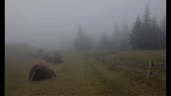 "Сквозь природу". Music for the soul.