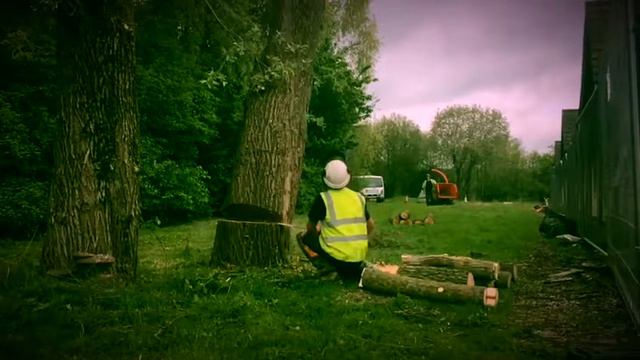 Dennis Walker & Son Tree Services felling a diseased Willow tree. смотреть онлайн