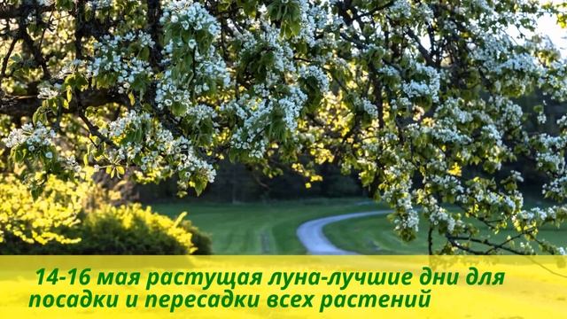 лунный посевной календарь на май 2016 года смотреть онлайн