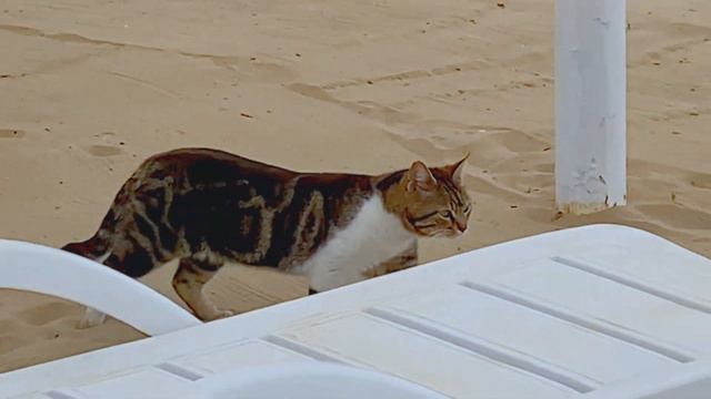 Luna Blanca Resort & Spa. Side Kumköy Türkei #side #türkei #lunablanca