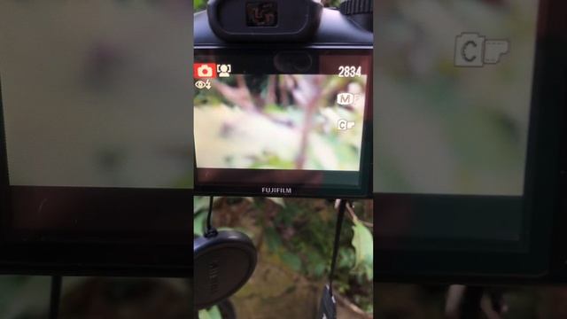 Fujifilm Finepix S2980 смотреть онлайн