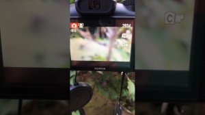 Fujifilm Finepix S2980