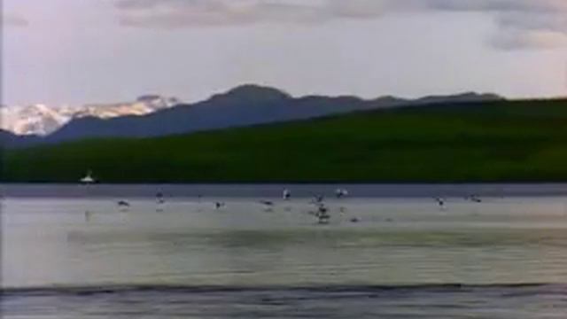 Без названия) смотреть онлайн