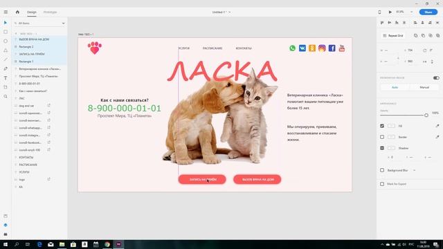 Sunday Design | Разработка веб-дизайна - ветеринарная клиника смотреть онлайн