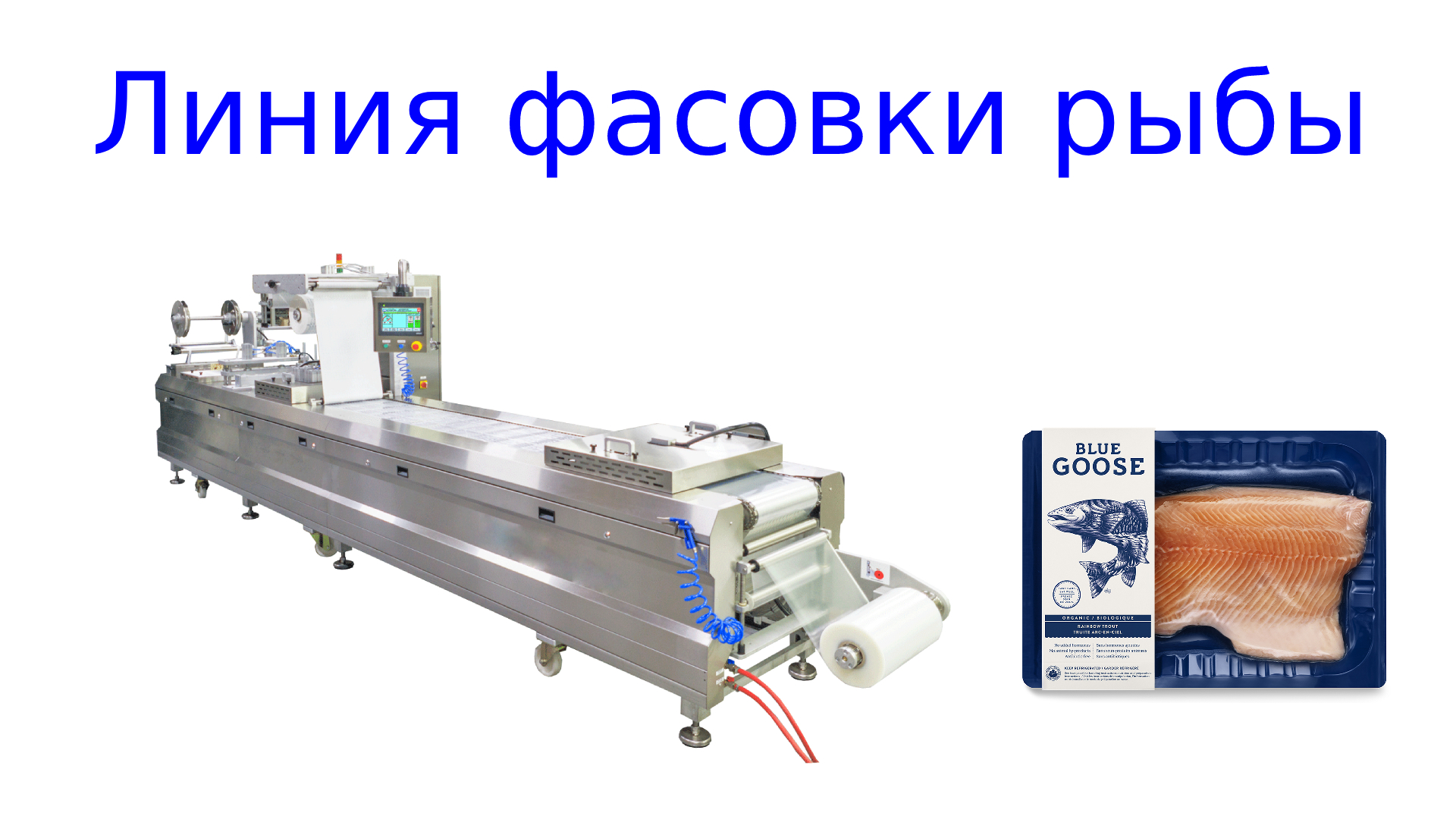Линия упаковки рыбы |фасовка рыбы | термоформа смотреть онлайн