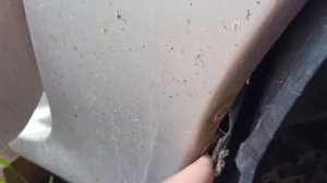 KiA Spectra КАК СНЯТЬ ПЕРЕДНЕЕ КРЫЛО