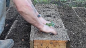 Грядка пирамида для клубники своими руками.