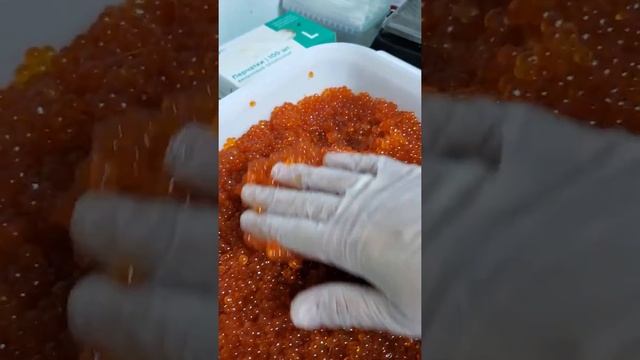 Икра красная Кета смотреть онлайн