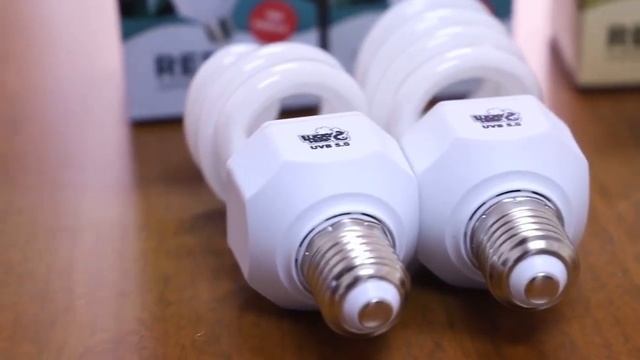 Eutoping 13w 25w UVB 5 0 10 0 15 0 Compact UVA UVB Lamp For Pet смотреть онлайн