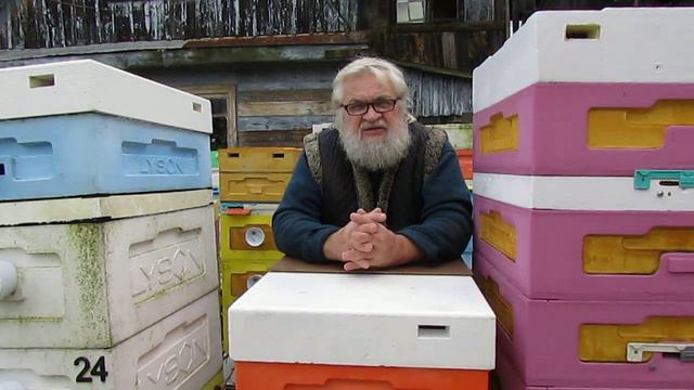 гибель и ослабление пчелиных семей в конце сезона - причины и ответы на вопросы смотреть онлайн