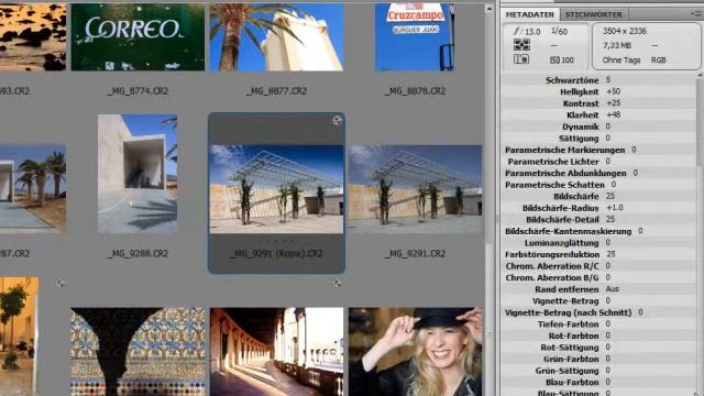 Die Bridge -- Erstkontakt mit dem Raw Converter - Episode 04 смотреть онлайн