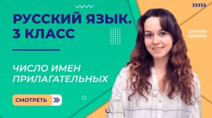 Число имен прилагательных. Видеоурок 34.1. Русский язык 3 класс