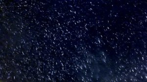 Футаж Метель. Очень Красивое Видео Метель Кружится в Лучах Света. Метель Кружится Футаж Видео Метел