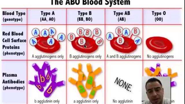 Blood Type Explanation смотреть онлайн
