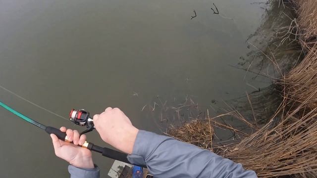 Non-stop White Perch on Gulp & Jigs 1/12/23 Long Island смотреть онлайн