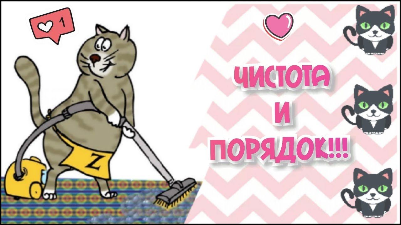 Уборка в приюте. Часть 2