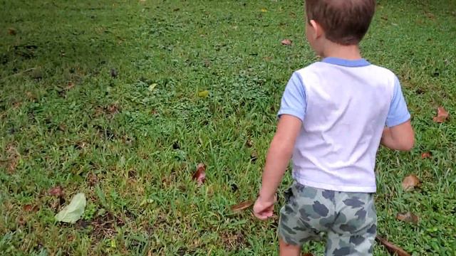 David braves the Tropical Storm Eta!!! Давид гуляет во время Тропического Циклона "Эта"!!! смотреть онлайн