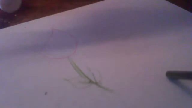 Как нарисовать ТЮЛЬПАН смотреть онлайн