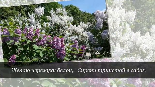 Желаю тебе - Неизвестный автор смотреть онлайн