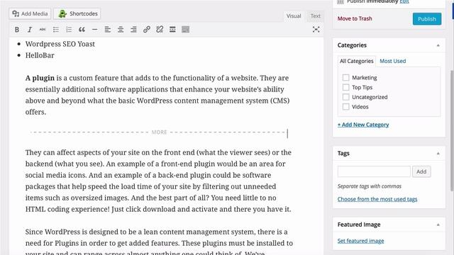 Wordpress Editor Tutorial смотреть онлайн